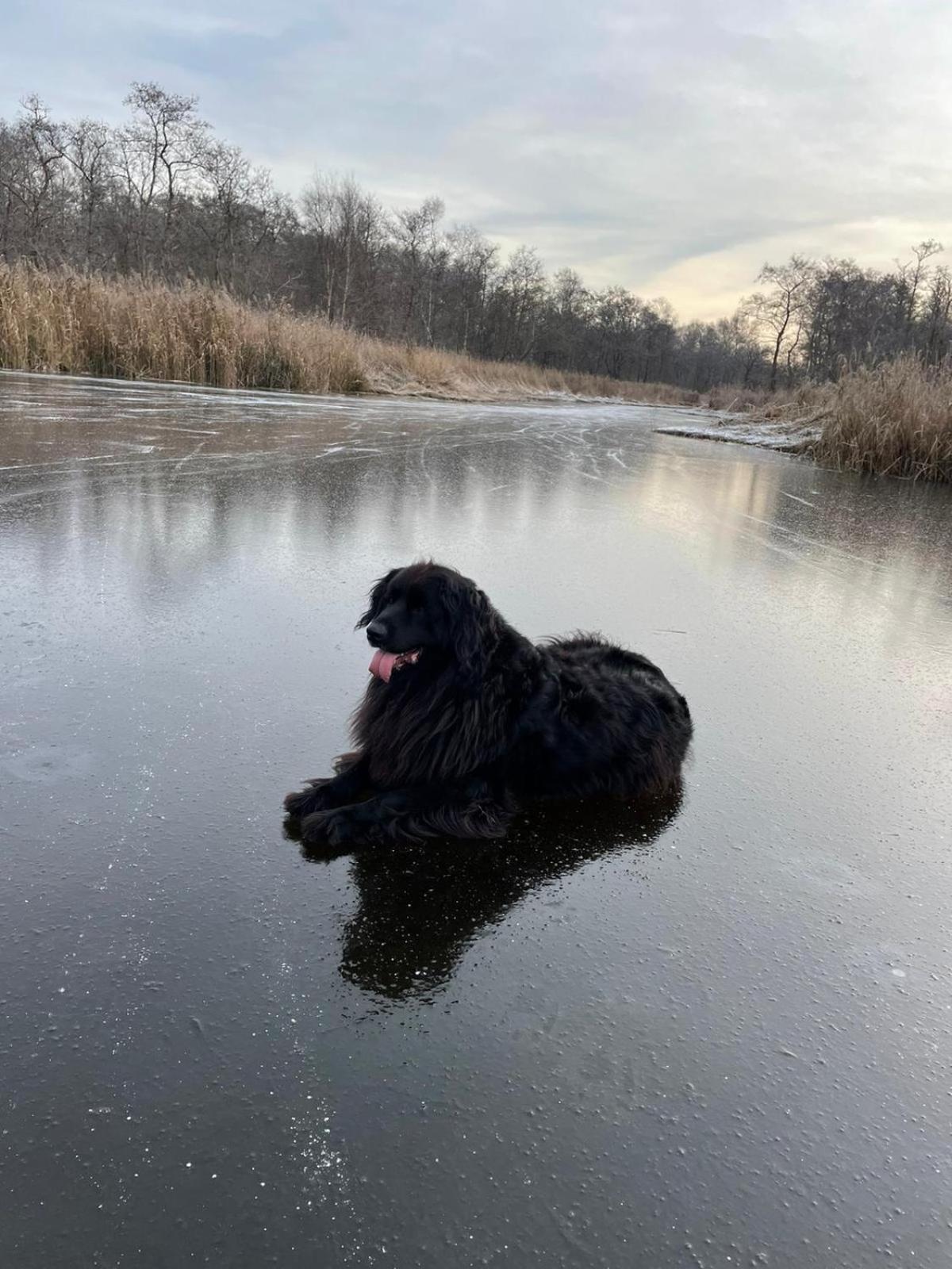 Huisje Op De Dijk Kortenhoef Esterno foto